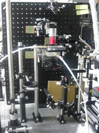 System